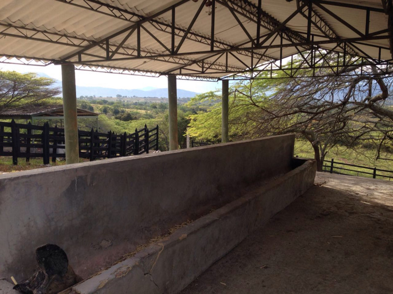 FINCA en venta en Tocaima, Dirección no disponible, 48000 m²