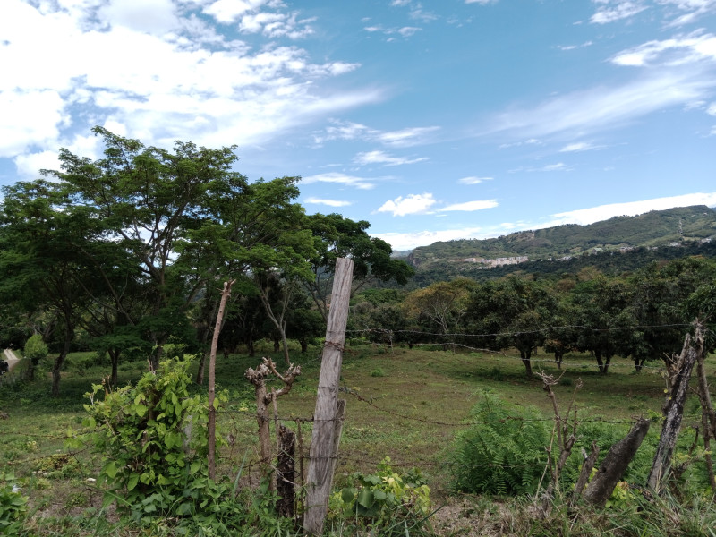 FINCA en venta en Soledad, Anapoima Cundinamarca vereda La providencia, 1 m²