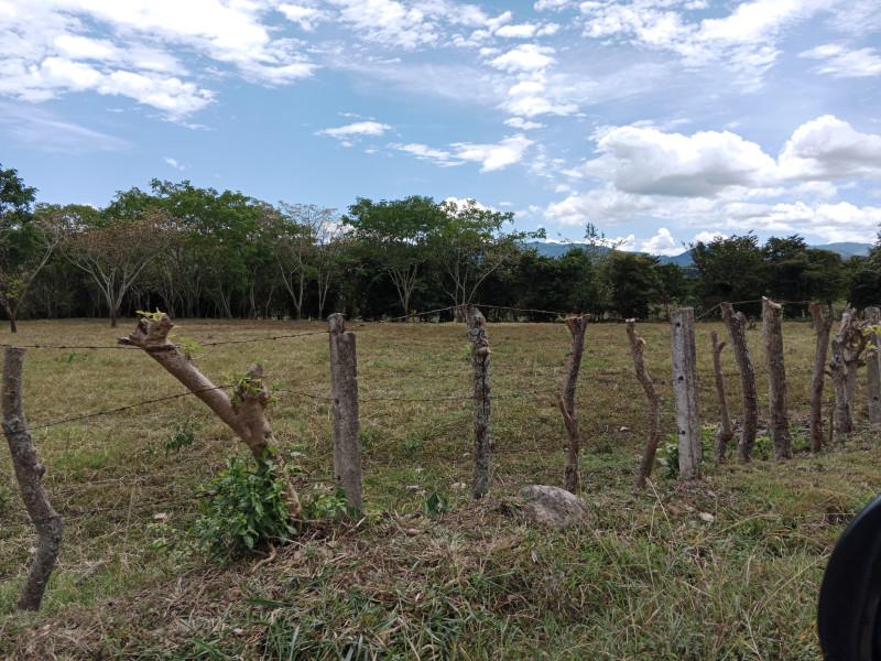 FINCA en venta en Soledad, Anapoima Cundinamarca vereda La providencia, 1 m²