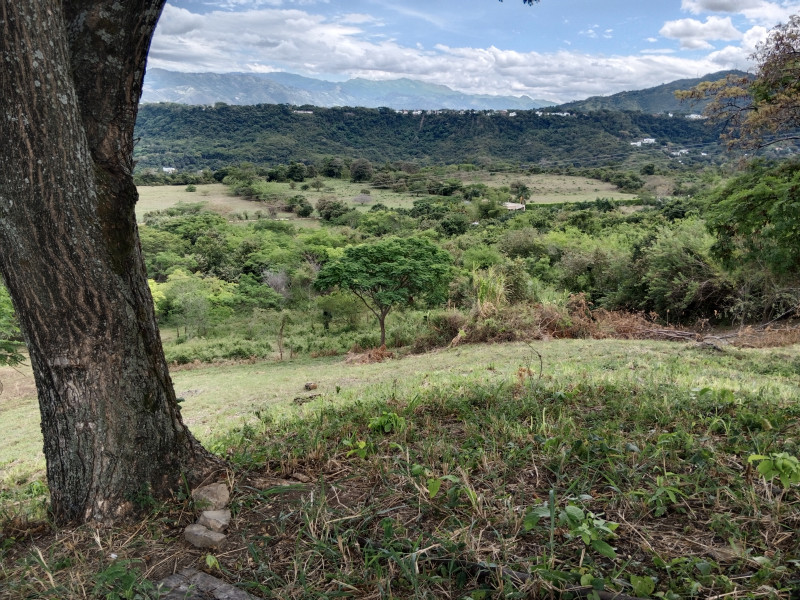 FINCA en venta en Soledad, Anapoima Cundinamarca vereda La providencia, 1 m²