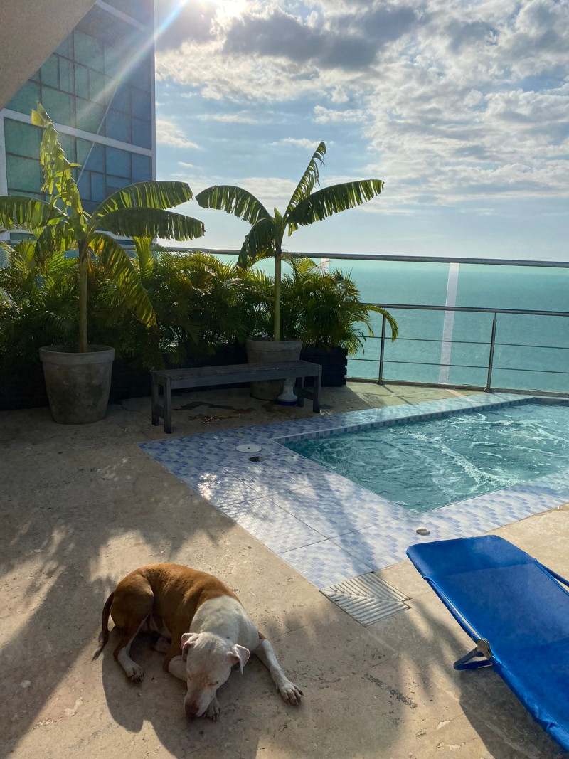 APARTAMENTO en venta en Cartagena, Carrera 1 # 10-130 piso 31 y 32, 533 m²