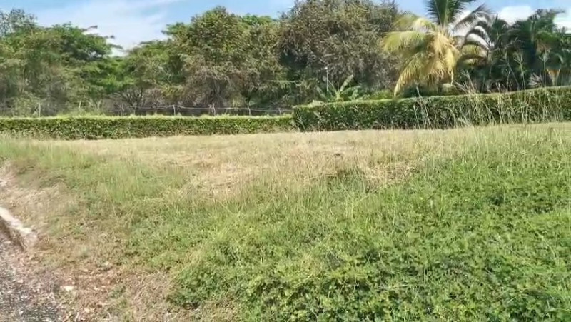 LOTE en Carmen De Apicalá