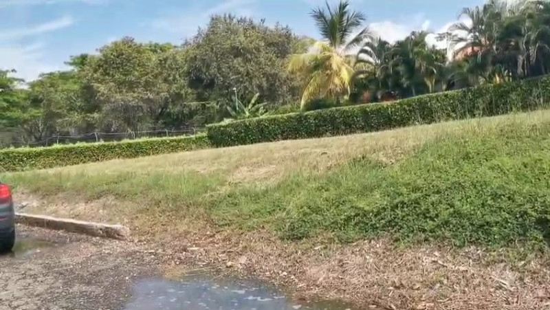 LOTE en Carmen De Apicalá