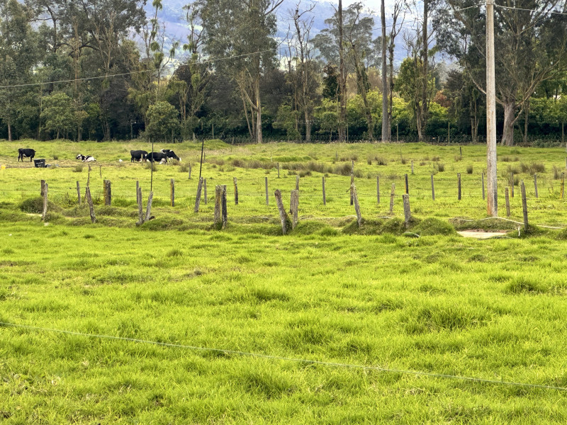 LOTE en La Calera