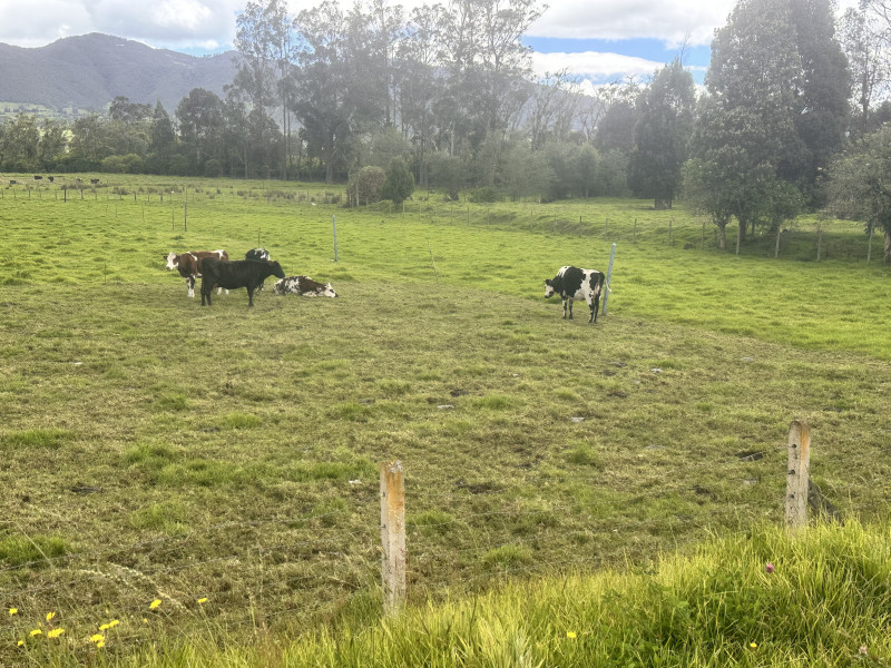 LOTE en La Calera