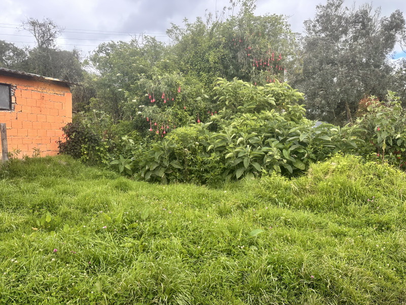 LOTE en La Calera