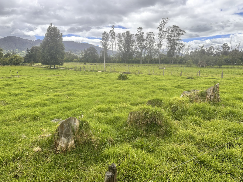 LOTE en La Calera
