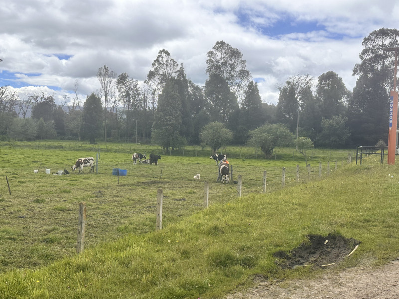 LOTE en La Calera