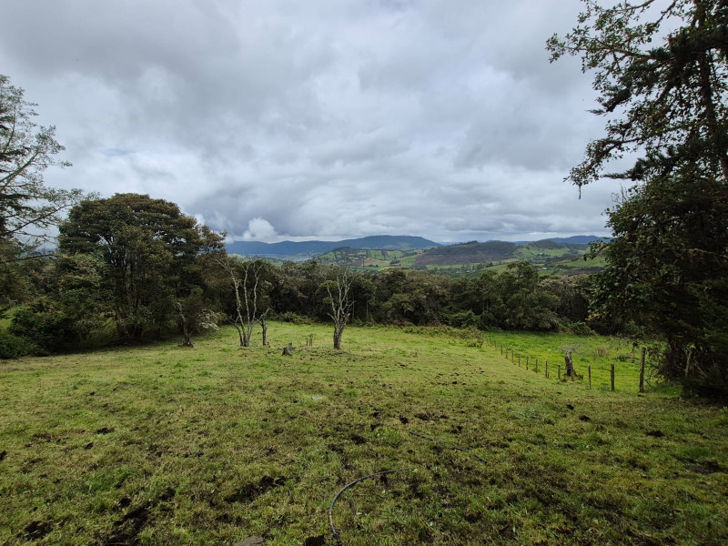 LOTE en La Calera