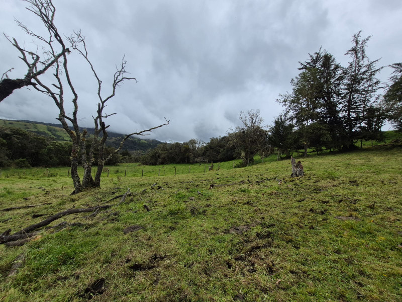 LOTE en La Calera