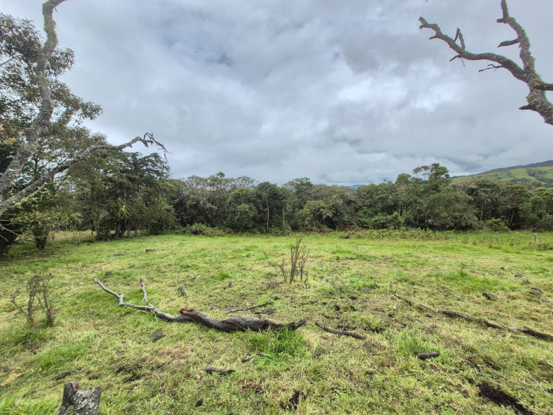 LOTE en La Calera