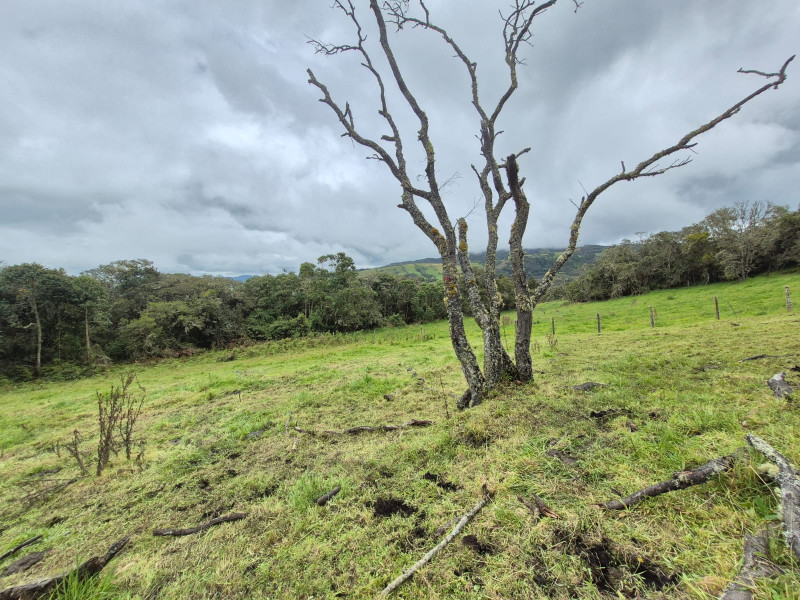 LOTE en La Calera