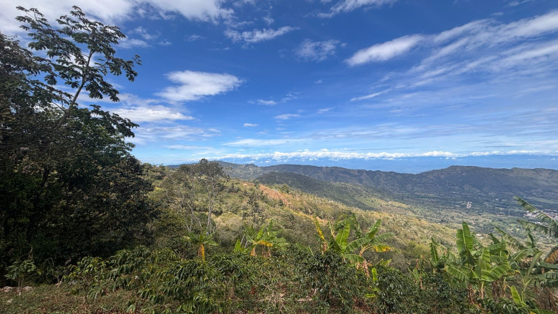 FINCA en Guaduas