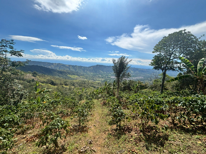 FINCA en Guaduas