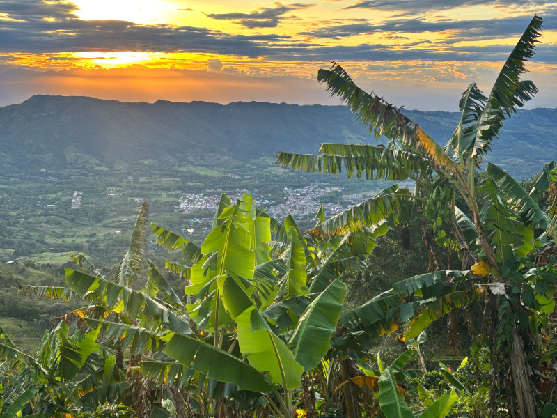 FINCA en Guaduas