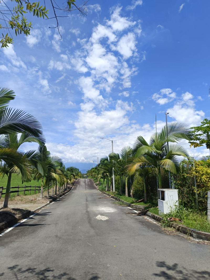 LOTE en Pereira