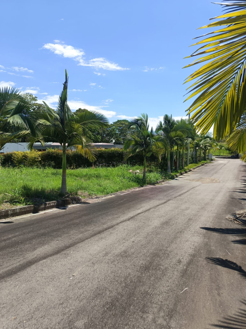 LOTE en Pereira