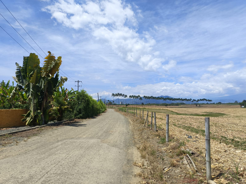 LOTE en Pereira
