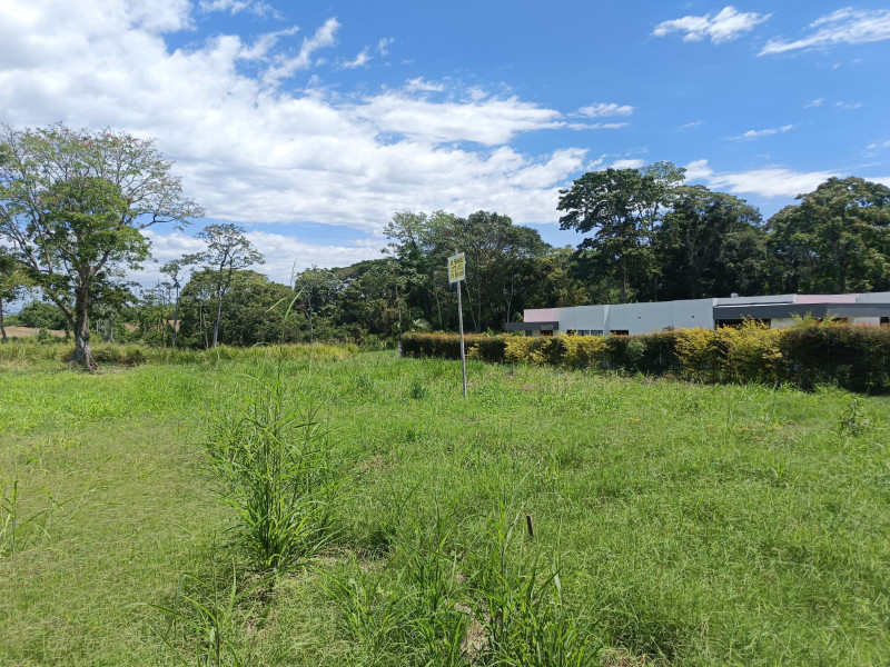 LOTE en Pereira