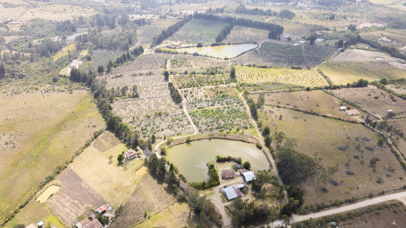 FINCA en Villa De Leyva