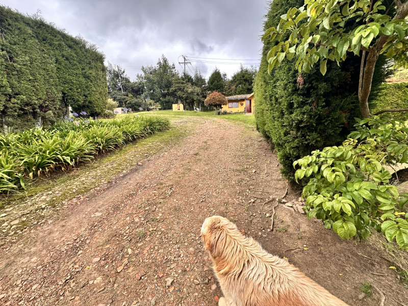 CASA CAMPESTRE en Tabio
