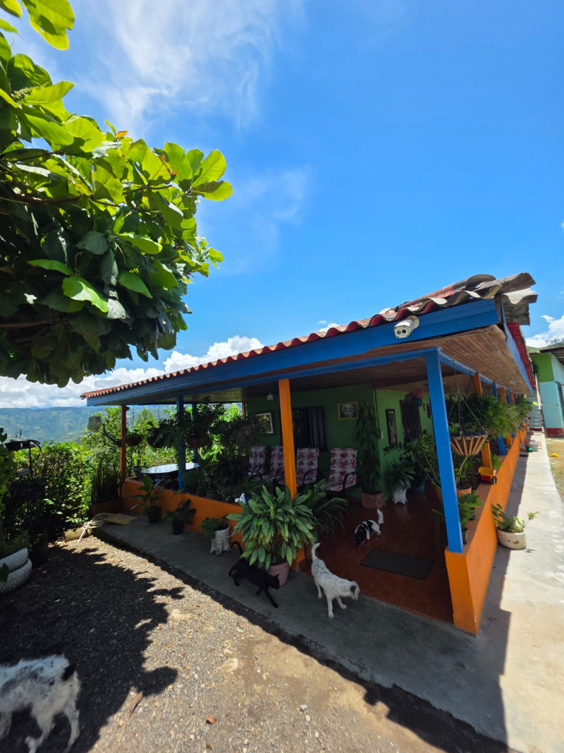 FINCA en El Santuario