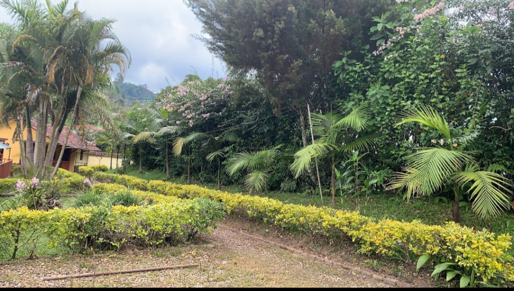 FINCA en alquiler en San Francisco, Finca el Silencio - San Francisco, 139 m²