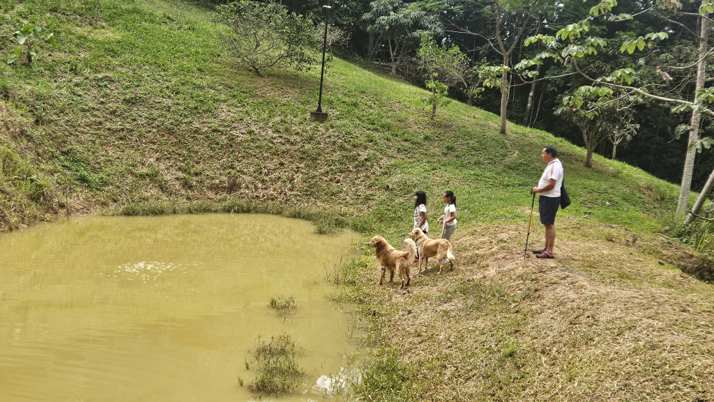 FINCA en San Juan De Rio Seco