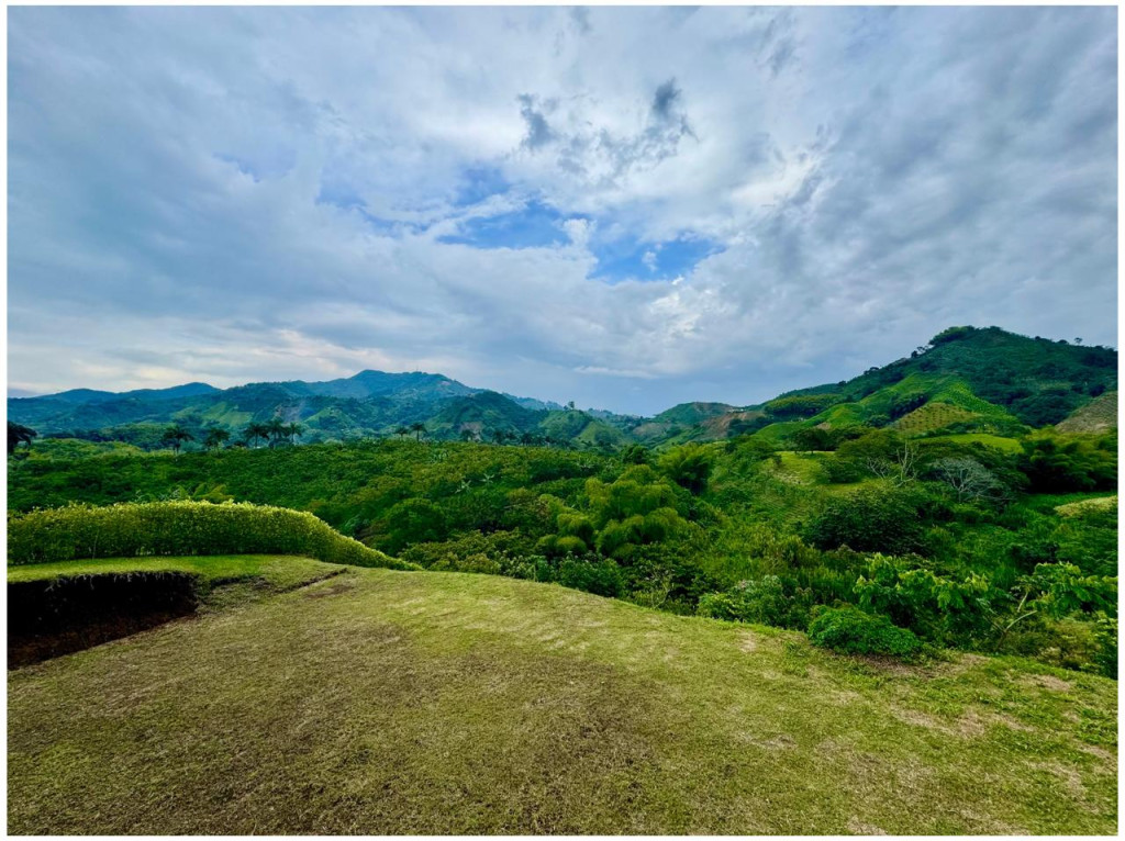 LOTE en venta en Pereira, Condominio Montevalo-combia, 1800 m²
