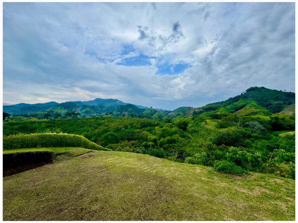 LOTE en venta en Pereira, Condominio Montevalo-combia, 1800 m²