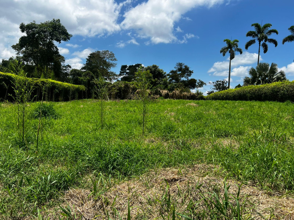 LOTE en venta en Pereira, parcelación Madrigal, Via armenia, 2040 m²