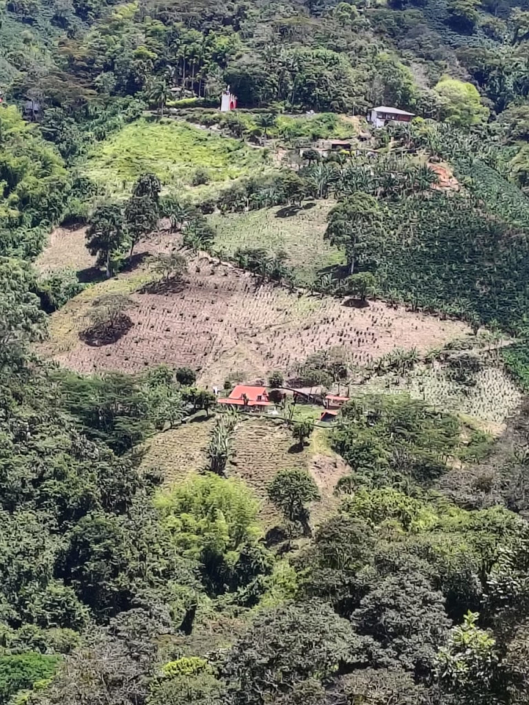 FINCA en venta en Santuario, SANTUARIO- LA MARINA-32HQ+994 Santuario, Risaralda, 100 m²