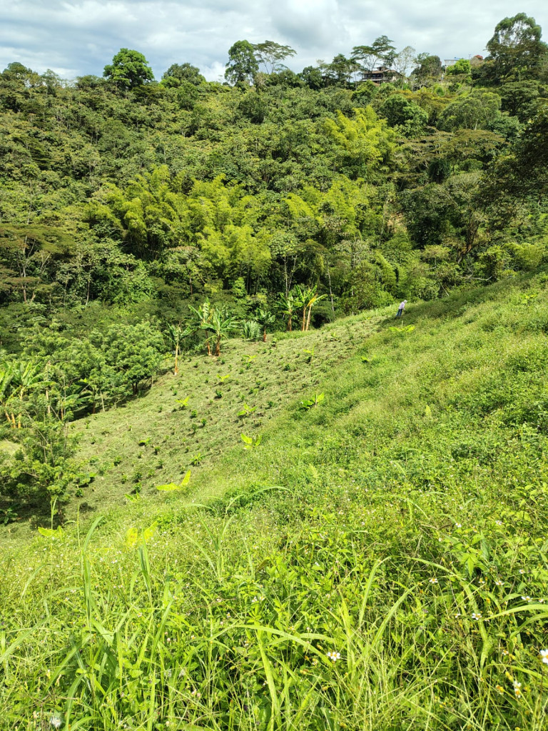 FINCA en venta en Santuario, SANTUARIO- LA MARINA-32HQ+994 Santuario, Risaralda, 100 m²
