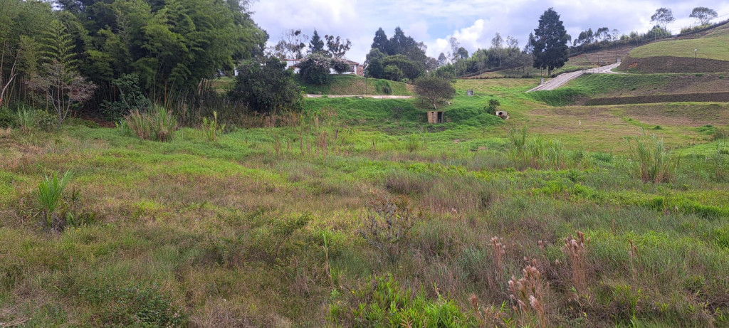 LOTE en Rionegro