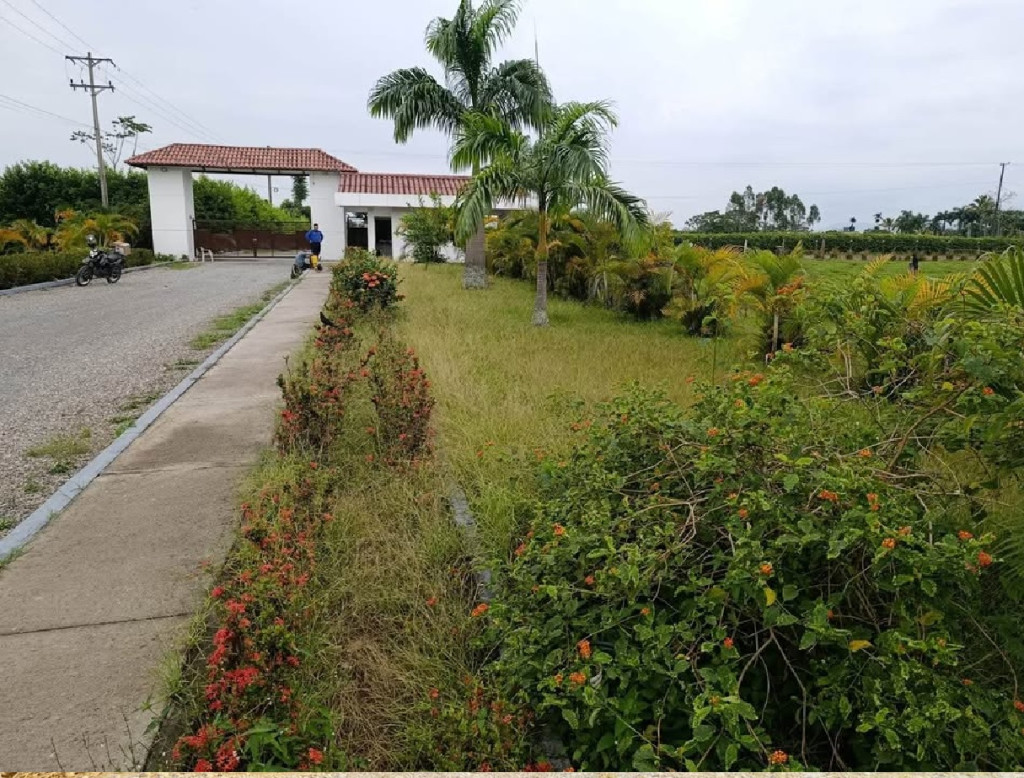 LOTE en Acacías