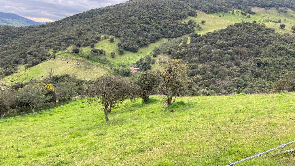 LOTE en venta en La Calera, Lote Rural Vereda Santa Helena La Calera Cundinamarca