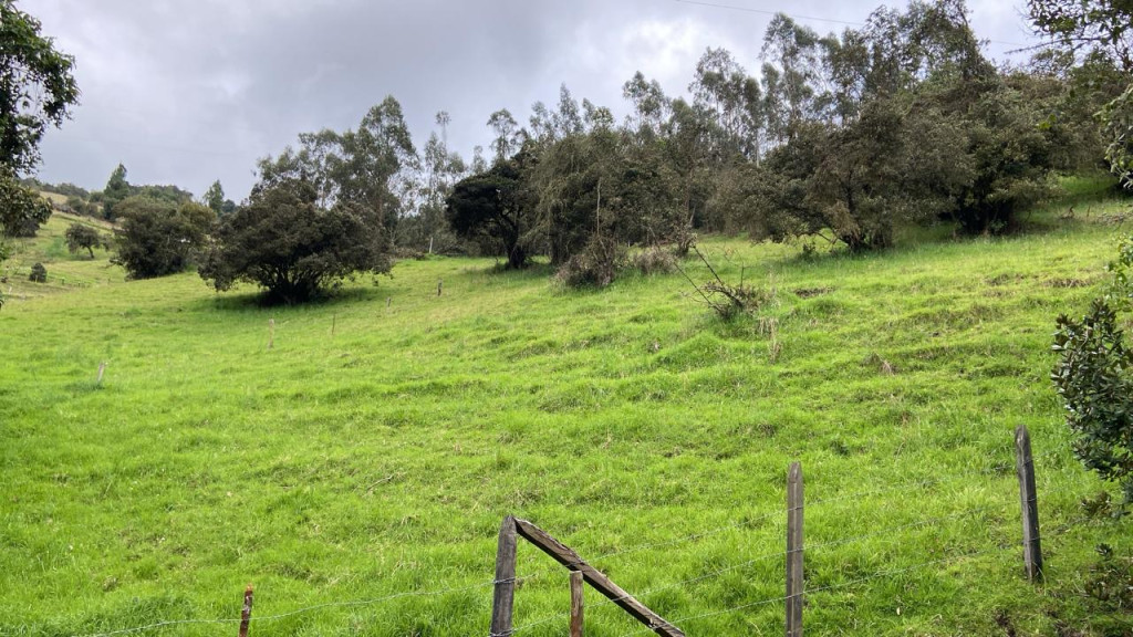 LOTE en venta en La Calera, Lote Rural Vereda Santa Helena La Calera Cundinamarca