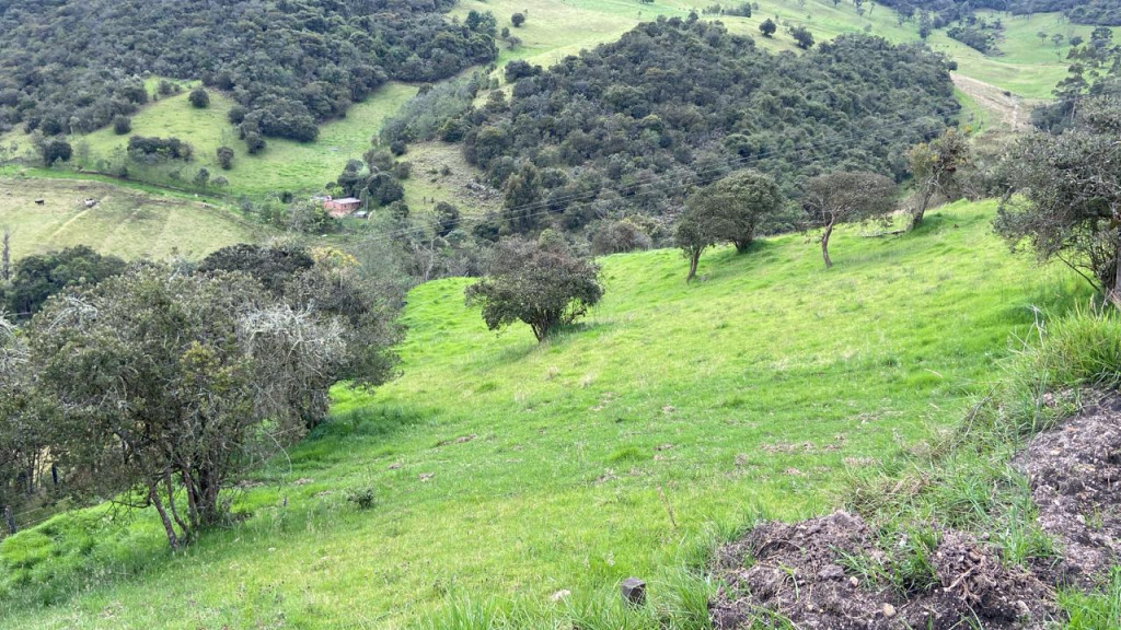 LOTE en venta en La Calera, Lote Rural Vereda Santa Helena La Calera Cundinamarca
