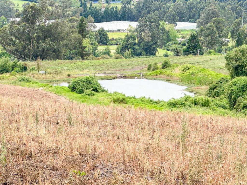 FINCA en venta en Tabio, Finca Rural  en Vereda Río Frío Oriental, 90 m²