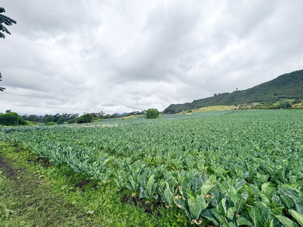 FINCA en venta en Tabio, Finca Rural  en Vereda Río Frío Oriental, 90 m²