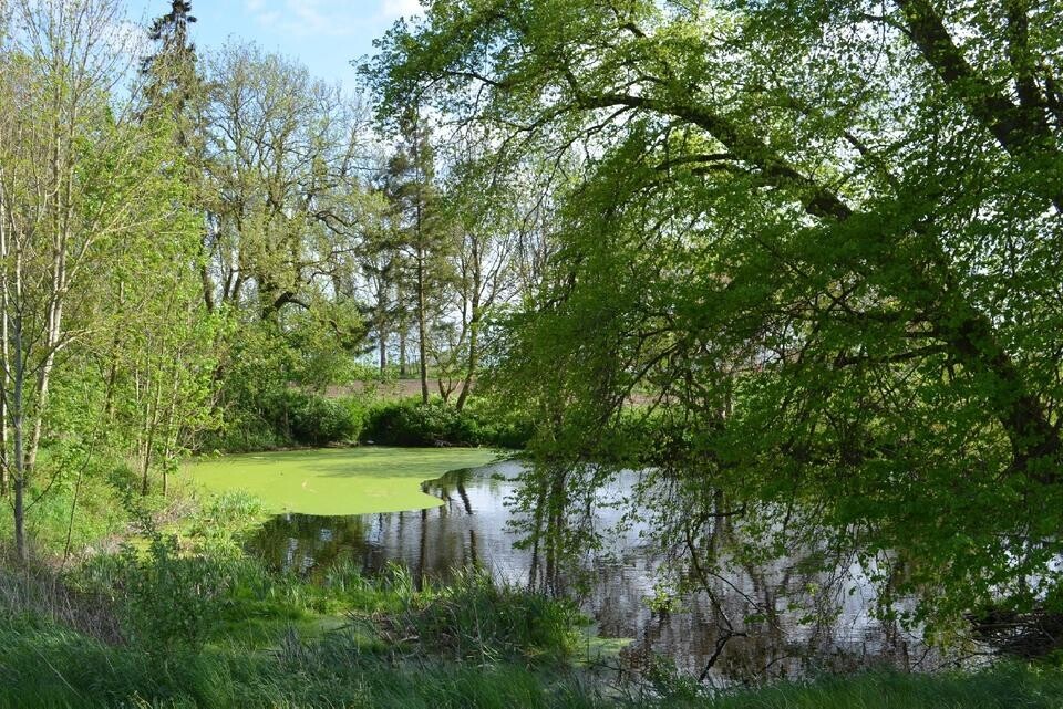Idyllisches Freizeitgrundstück mit Teich