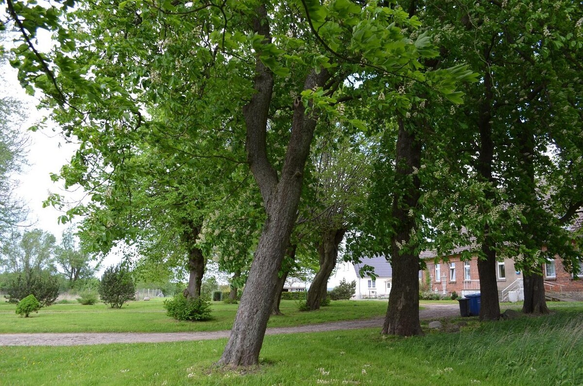 Idyllisches Freizeitgrundstück mit Teich