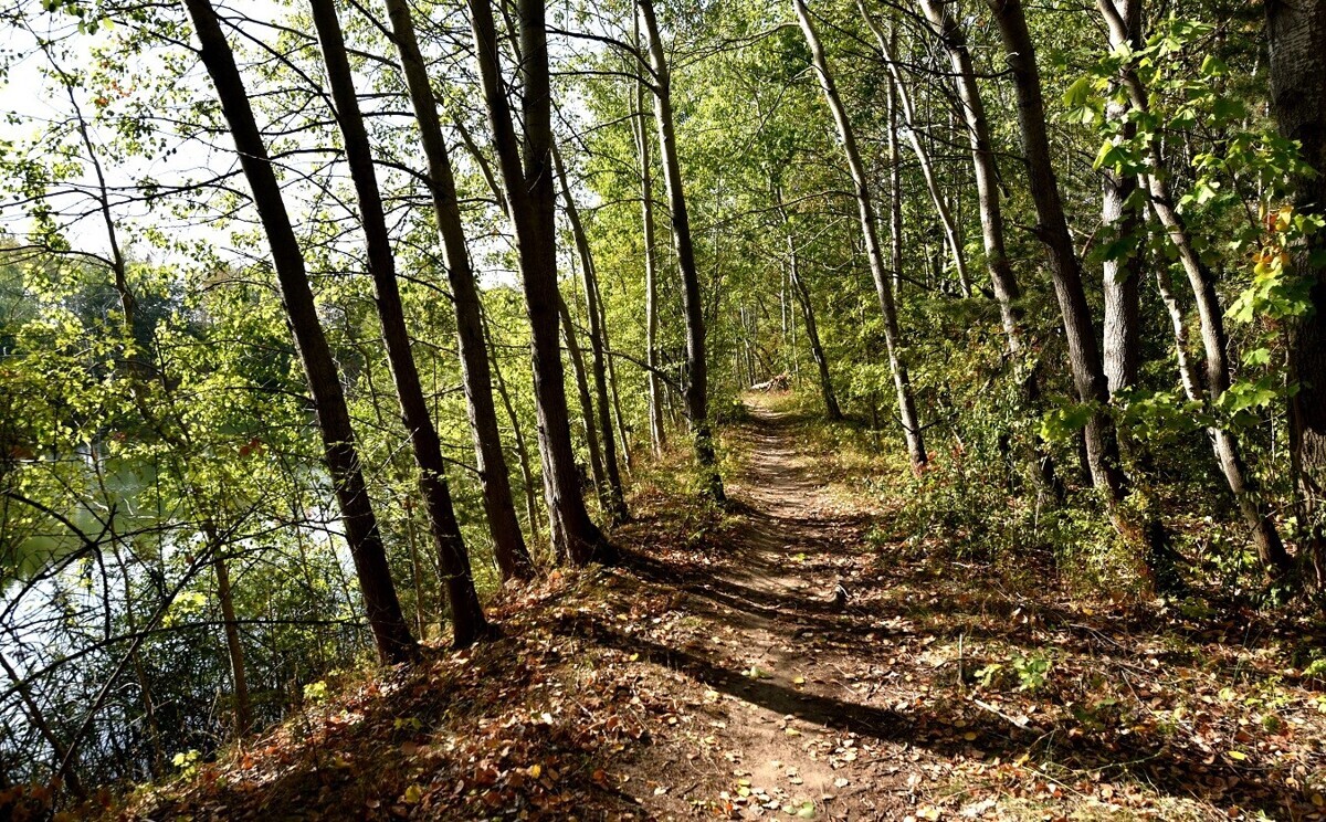 Attraktives Entwicklungsareal mit See in Luckenwalde (45 km südwestlich von Berlin)