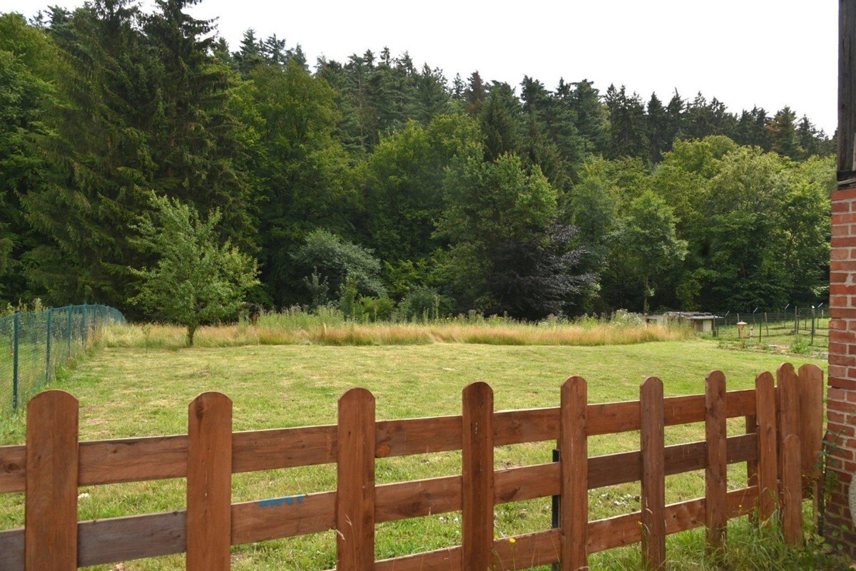 Mehrfamilienhaus mit Remise am Waldrand von Grünenplan