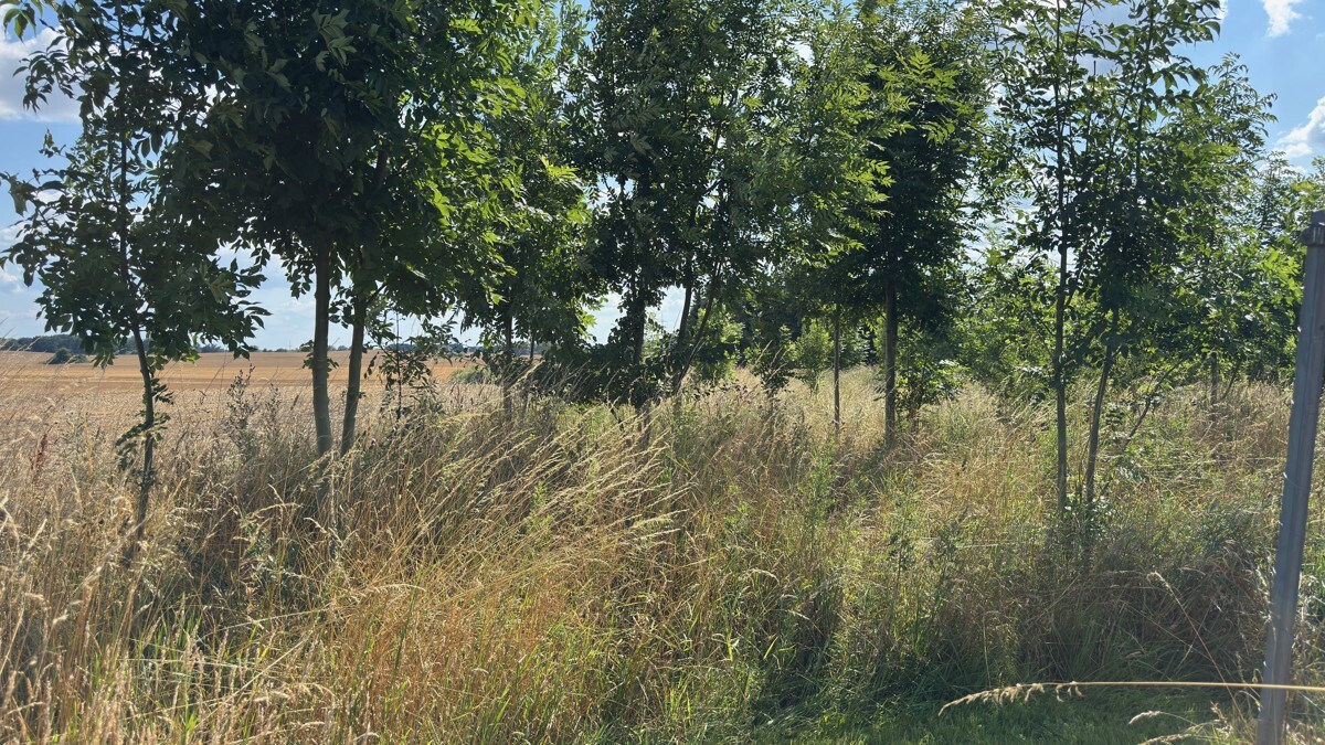 Großartiges Baugrundstück mit herrlichem Grünblick+ guter Infrastruktur zu kaufen. Kühnel Immobilien