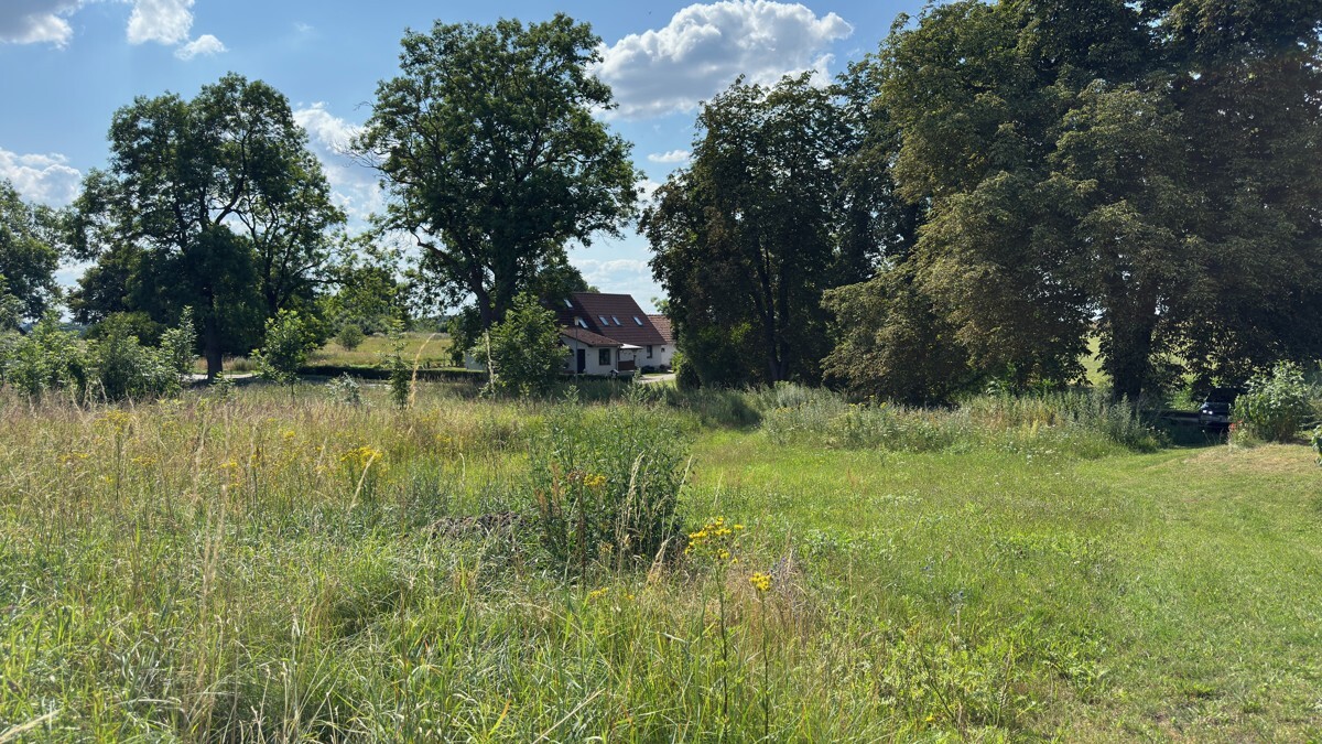 Großartiges Baugrundstück mit herrlichem Grünblick+ guter Infrastruktur zu kaufen. Kühnel Immobilien