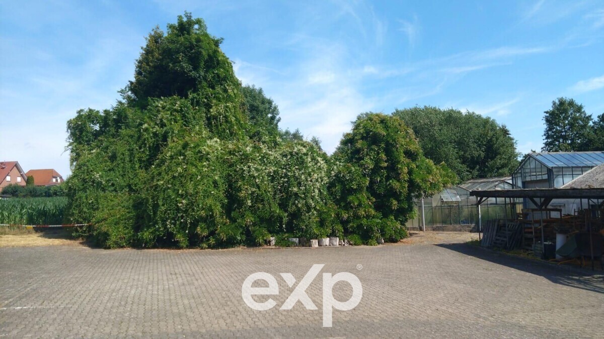 Einfamilienhaus zu verkaufen in Bad Rehburg, Tiefenriede 11, 31547 Bad Rehburg, 290 m²
