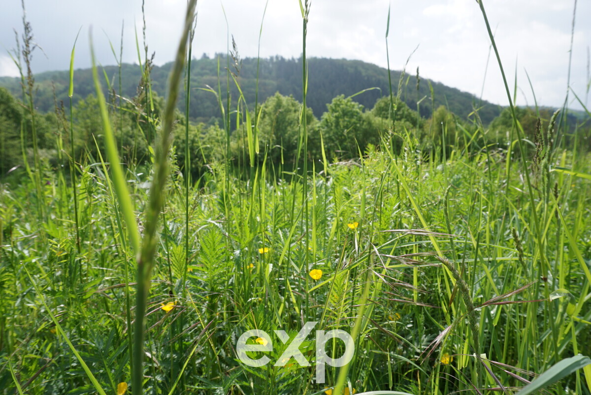 Rural Idyll Meets Home Office: Spacious Building Plot – Bring Your Builder Along!
