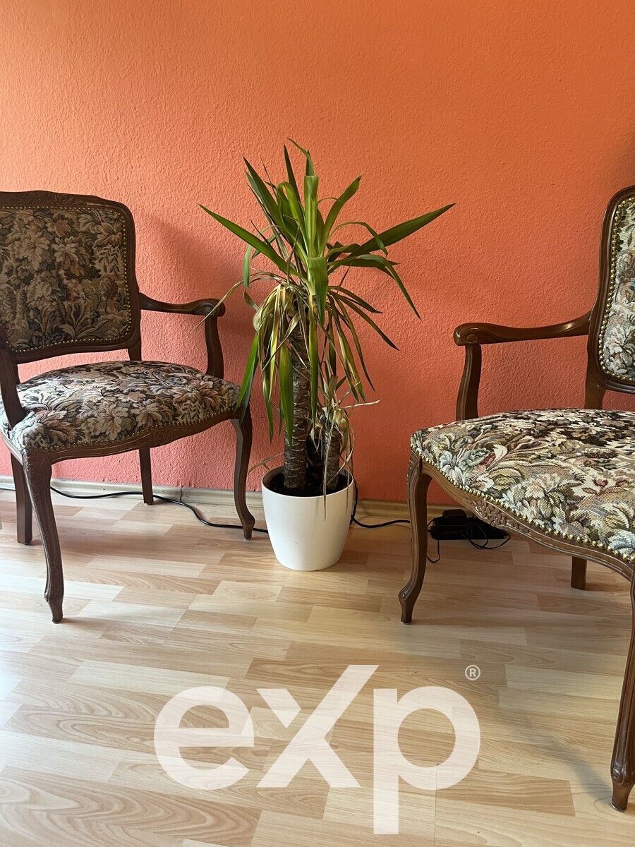 Lucrative Investment Property - Central Mainz 5
