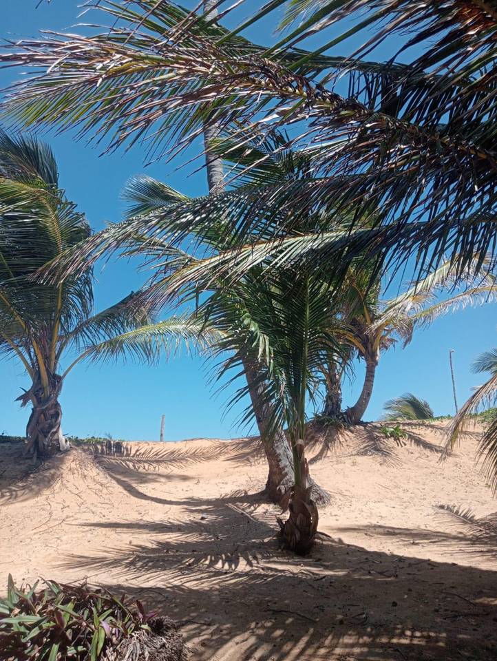 Terrenos en venta en Higüey